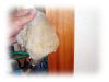��܊v���U�͐�܊v���ɑ�����ɗD�����E���ɗD������܂ł��B�����̐��́B�g�p��4